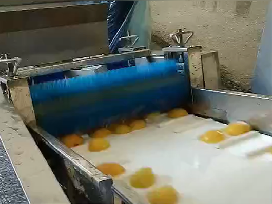桃子切條機 